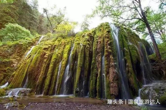 逃离泰莱森林
